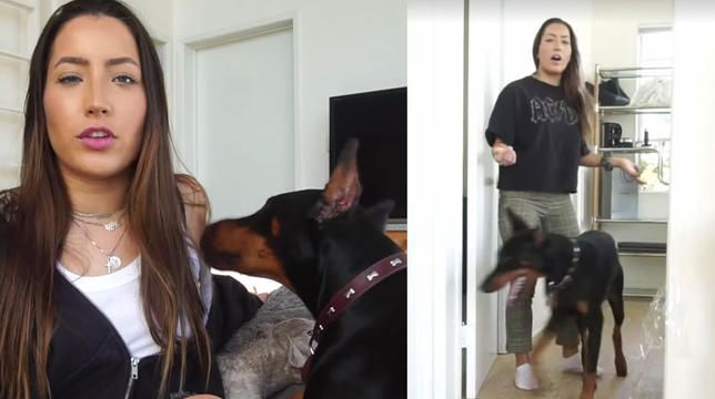Polisen undersöker en YouTuber som verkar slå hennes hund i en upptågsvideo