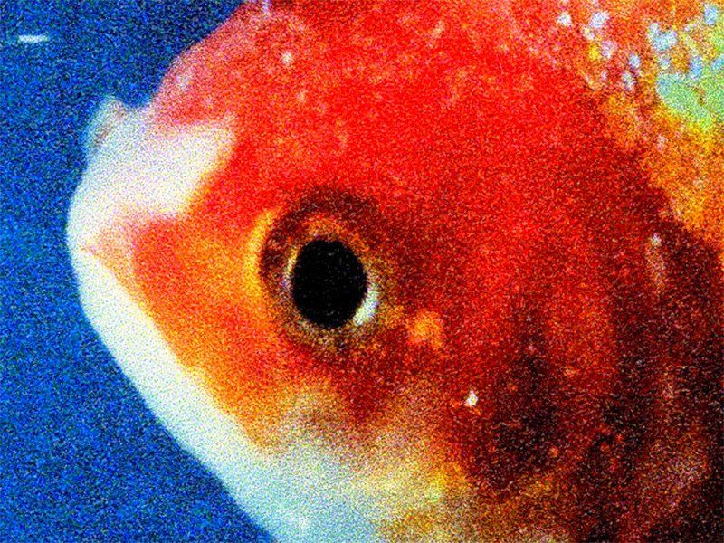 Vince Staples veröffentlicht Big Fish Theory Album