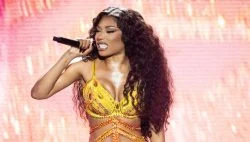   Megan Thee Stallion ønsker, at eks-fotografens retssag mod hende skal afvises